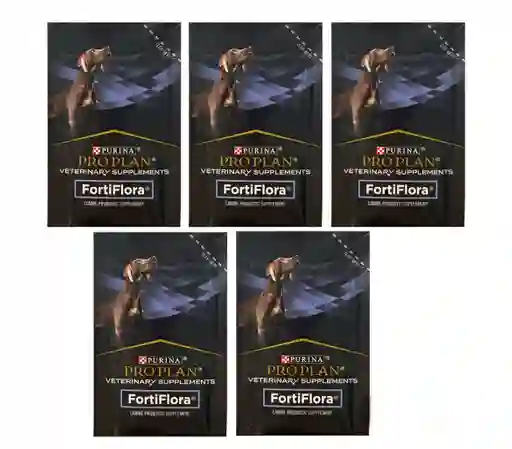 Fortiflora Perro X 5 Sobres Probioticos 1 Gr