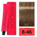 Igora Royal 8-46 (846) Rubio Claro Beige Chocolate 8 46