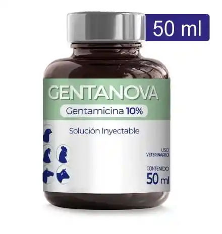 Gentanova Gentamicina 10% Iny Fco X 50 M