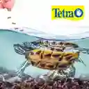 Reptomin Tetra Alimento Para Tortugas 10g