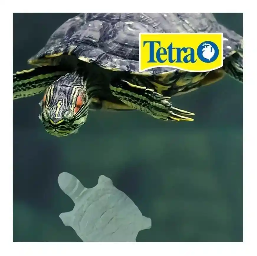 Reptoguard Tetra