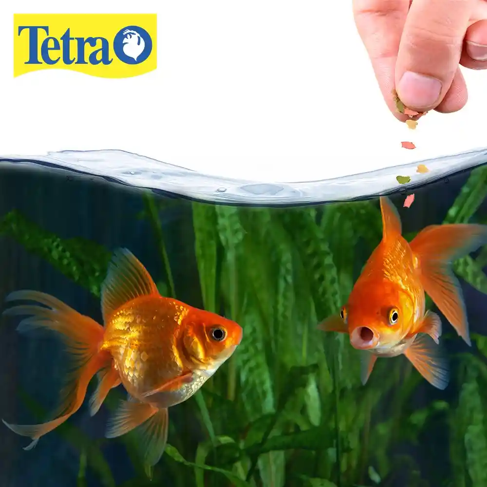 Tetra Goldfish 28g
