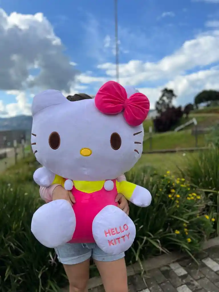 Peluche Hello Kitty Gigante