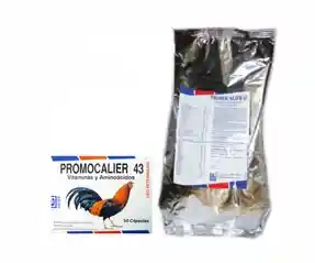 Promocalier 43 Oral X 50 Caps