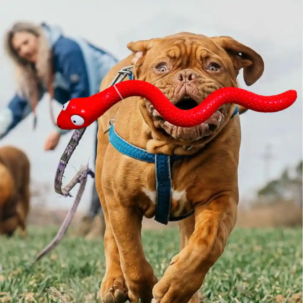 Juguete Para Perro Let´s Play Serpiente