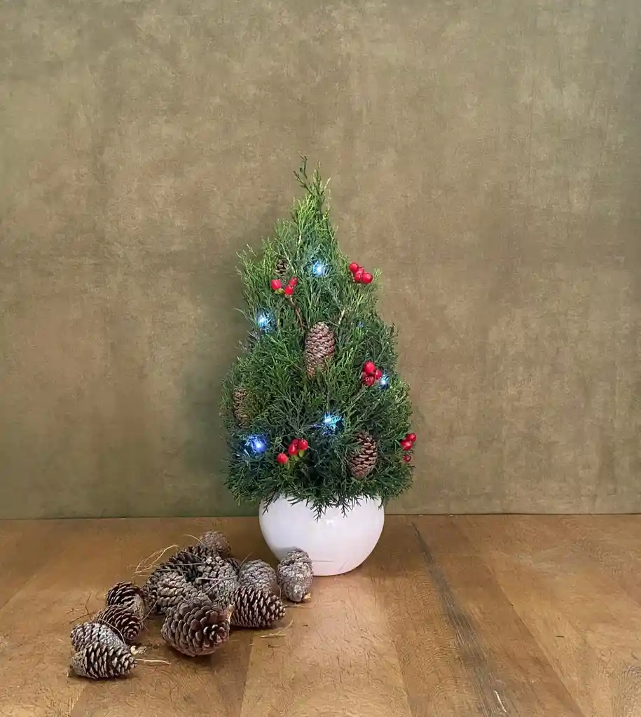 Árbol De Navidad Pino De Navidad Blanco