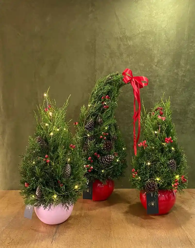 Árbol De Navidad Pino De Navidad Blanco