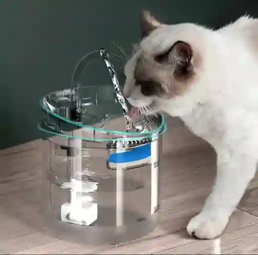 Fuente Dispensadora De Agua Para Mascotas Circulación Automática		