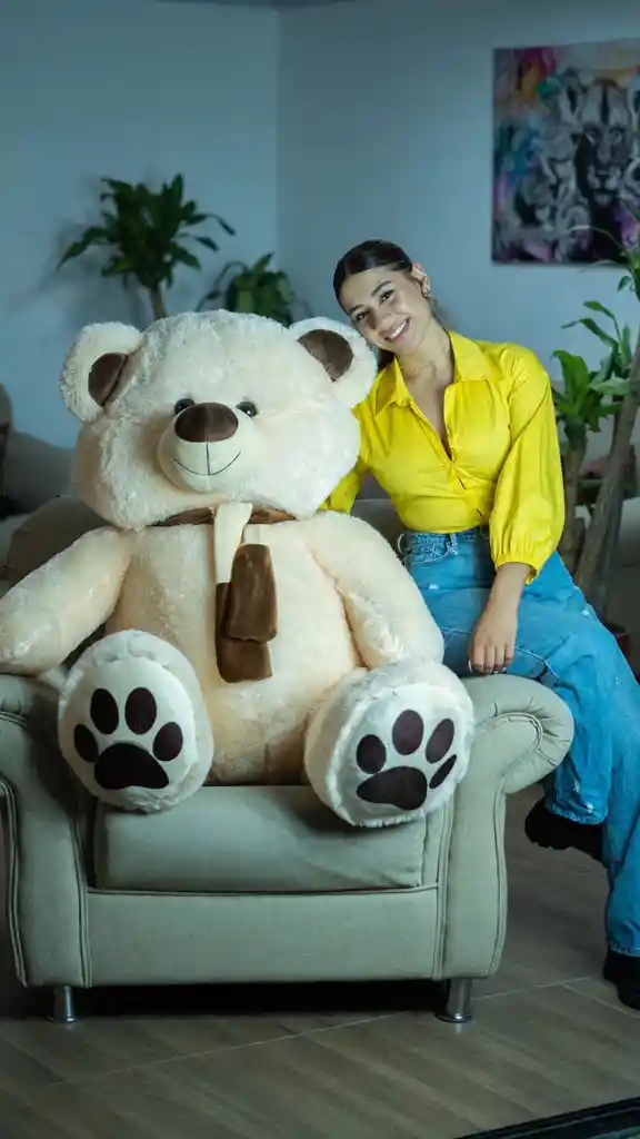 Oso De Peluche Sentado Gigante