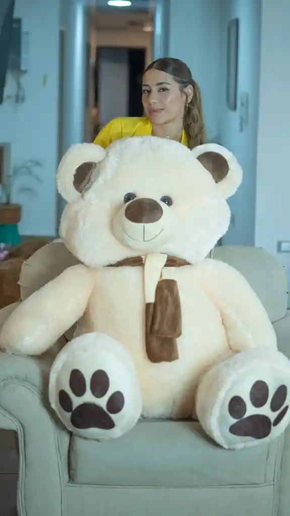 Oso De Peluche Sentado Gigante