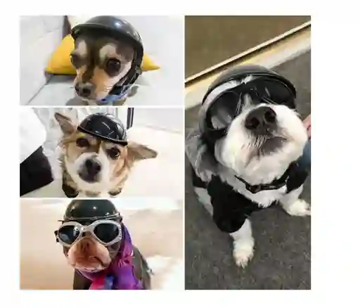 Casco Para Mascota Pequeña Perro O Gato