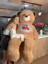 Hermoso Oso Con Letreto Patas Largas Gigante 160cm