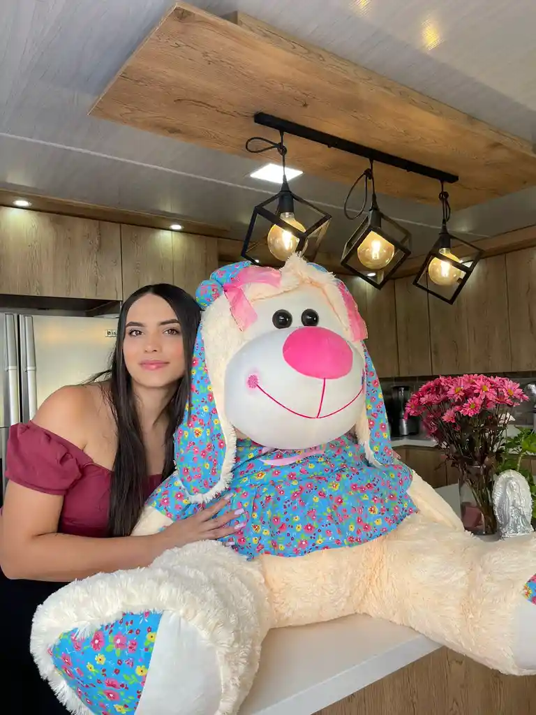 Perra De Peluche Con Vestido Y Moños Gigante