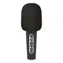 Wireless Karaoke Microphones Bluetooth Speaker C200-01