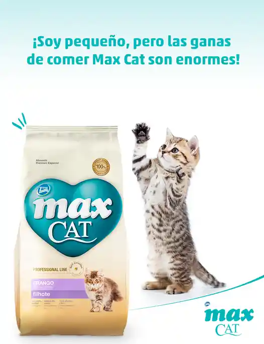 Max Alimento Para Gatos Cachorros Max Gatos Filhote 1 Kg