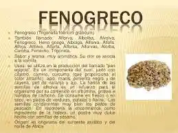 Fenogrego En Pepa X 125g