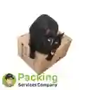 Caja De Cartón Empaque Embalaje Mudanza Psc1.1 X 1 Unidades