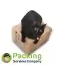 Caja De Cartón Empaque Embalaje Mudanza Psc1 .1 X 5 Unidades