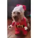 Traje Navideño Para Mascota Perro Gato Papa Noel Raza Xs