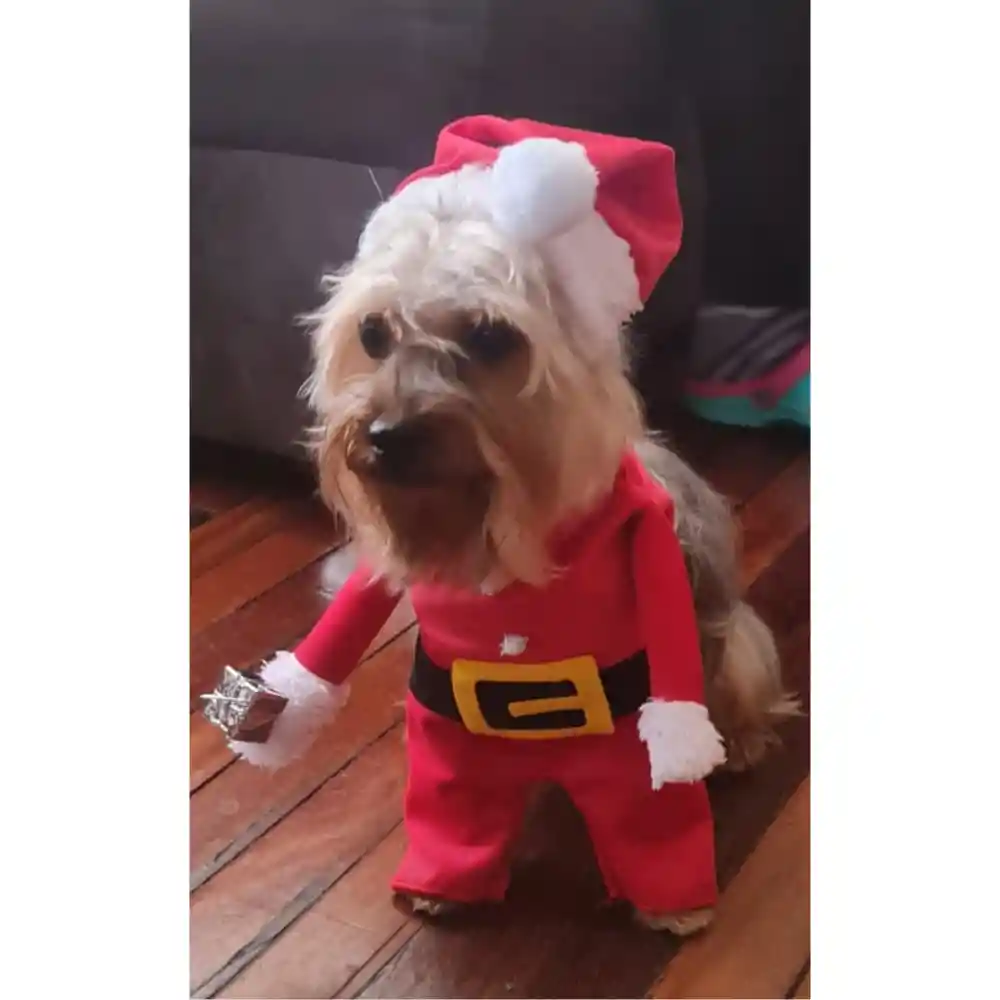 Traje Navideño Para Mascota Perro Gato Papa Noel Raza Xs