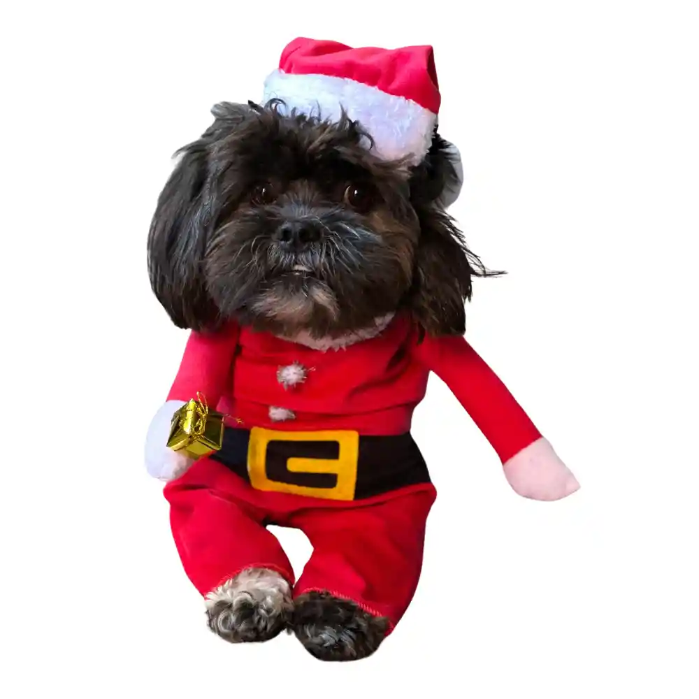 Traje Navideño Para Mascota Perro Gato Papa Noel Raza Xs