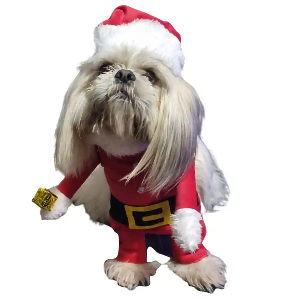 Traje Navideño Para Mascota Perro Gato Papa Noel Raza S