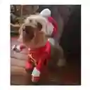 Traje Navideño Para Mascota Perro Gato Papa Noel Talla M