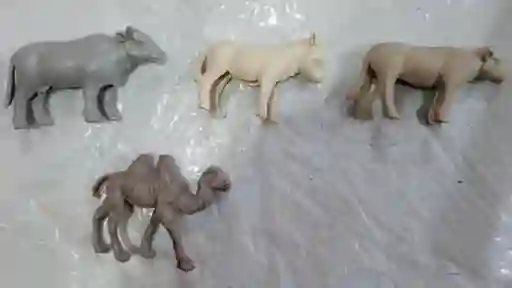 Camellos Medianos De Pasta