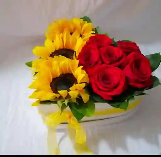 Corazon 1