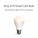 Bombillo Wifi Led Inteligente 60w Alexa Bombilla Ring A19