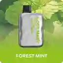 Vape Elfbar Lost Mary Forest Mint 5000 Puffs Luster Edition.