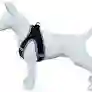 	 Arnes Sof + Correa Freedog/ Negro Reflectivo Xxs