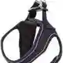 	 Arnes Sof + Correa Freedog/ Negro Reflectivo Xxs