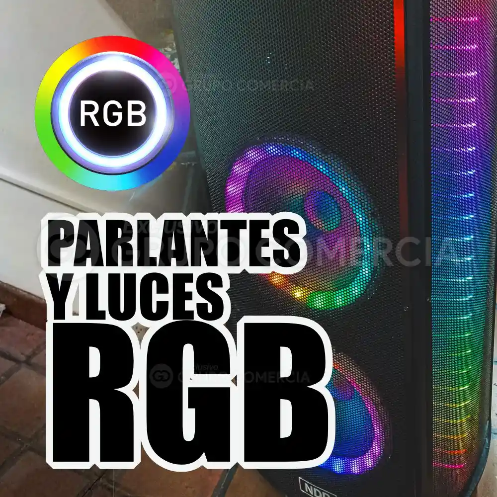 Parlante Profesional Potente Karaoke 2 Micrófono 3000w Mega Bass