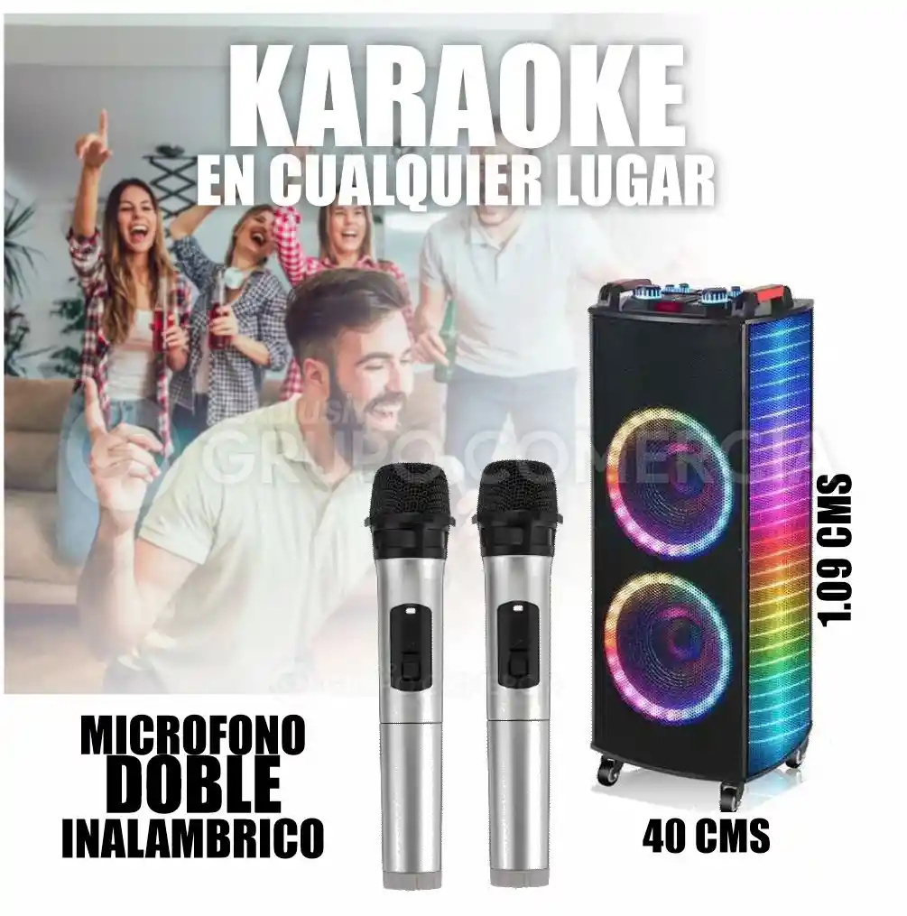 Parlante Profesional Potente Karaoke 2 Micrófono 3000w Mega Bass