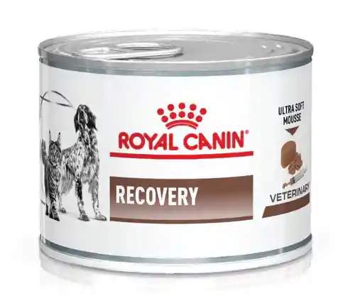 Royal Canin Lata C.f Recovery X 164 Gr