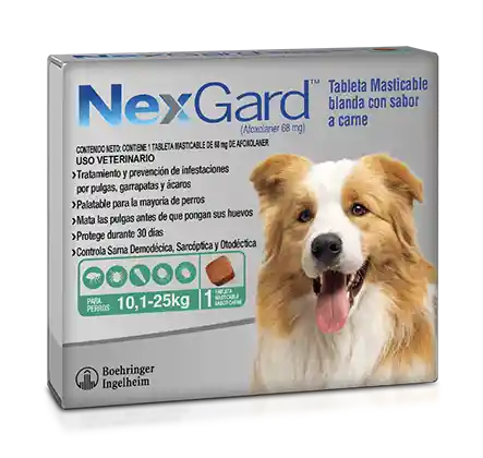 Nexgard 10.1 - 25 Kg