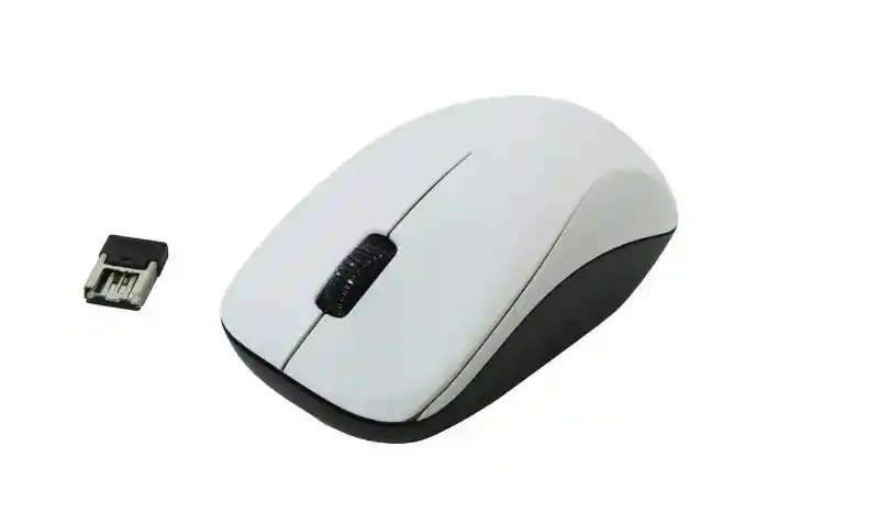 Genius Nx-7000 Mouse Inalámbrico Blanco + Gris