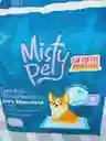 Tapete De Entrenamiento Misty Pet X 12 Und