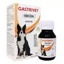 Gastrivet X 60ml