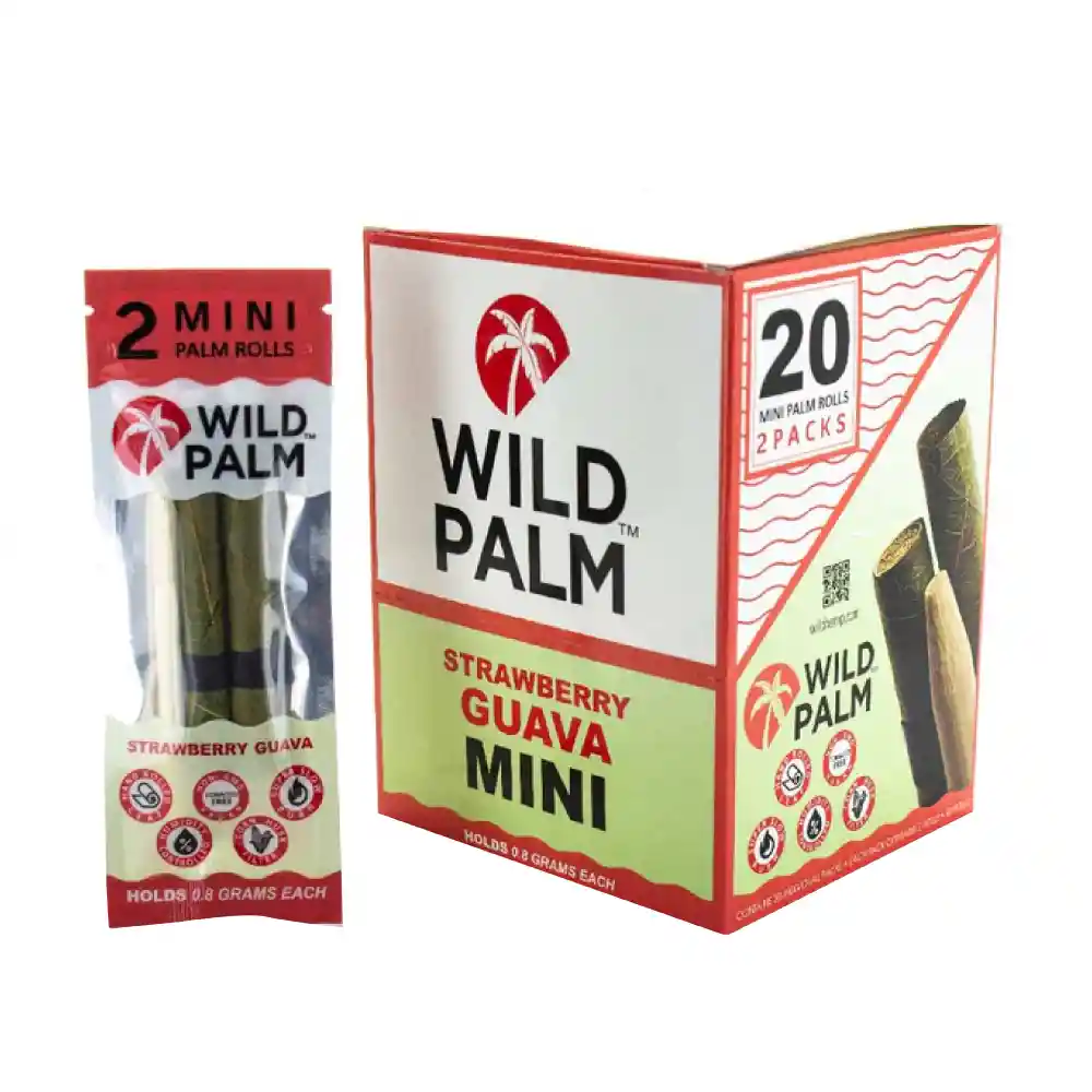 Wild Hemp - Mini Wild Palm - Rollos Strawberry Guava