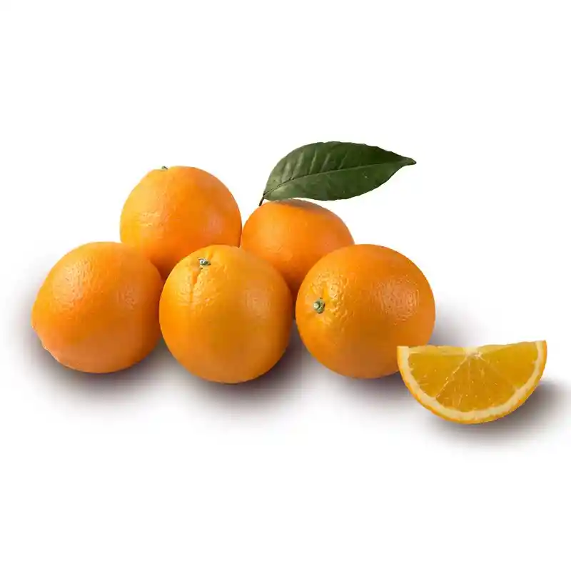 Zumo Blond Orange Juice Oranfrizer