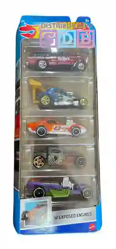 Autos Hot Wheels Pack X5 Carro Hot Wheels Exposed Engines