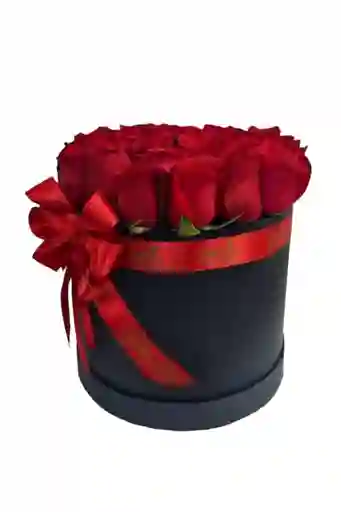 Caja De Rosas Roja En Cilindro