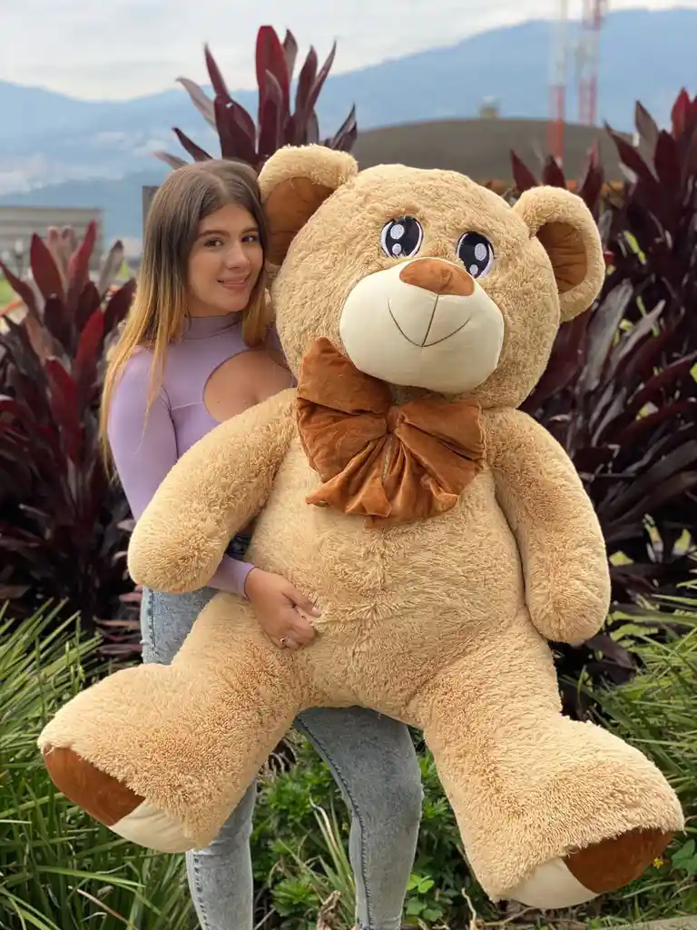 Oso Con Ojos Bordados Gigante 150cm