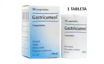 Gastricumeel Fco X1 Tableta