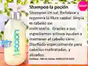 Shampoo, Crema Para Peinar Y Tratamiento La Poción