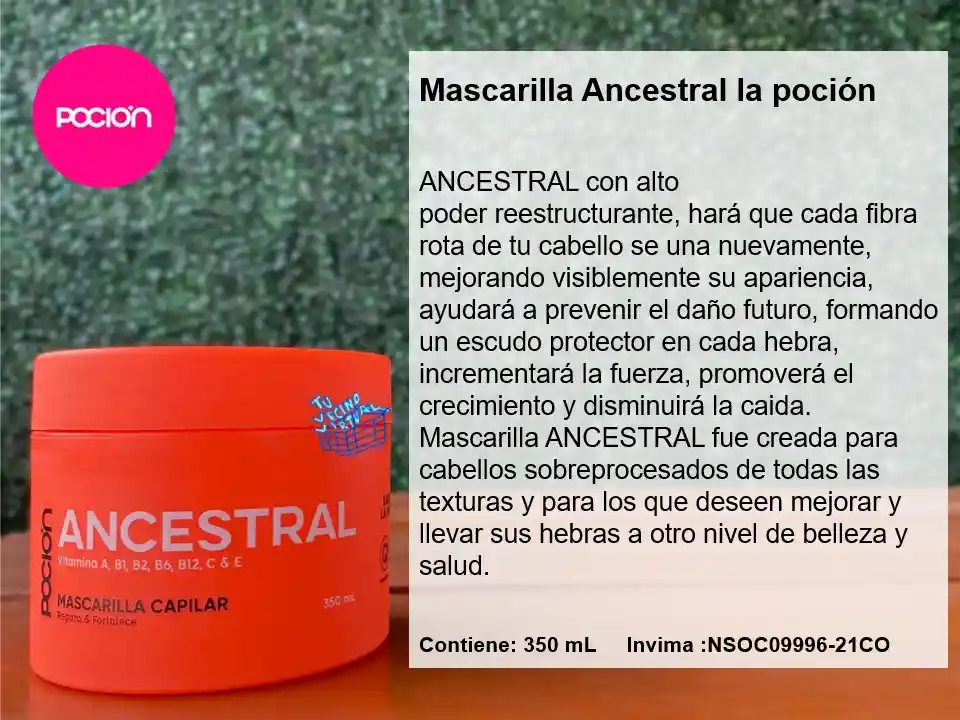 Shampoo, Tratamiento, Crema Para Peinar Y Mascarilla Ancestral La Poción