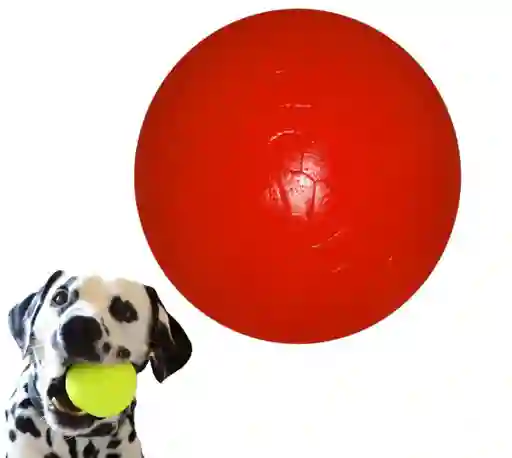 Pelota Maciza Para Perros