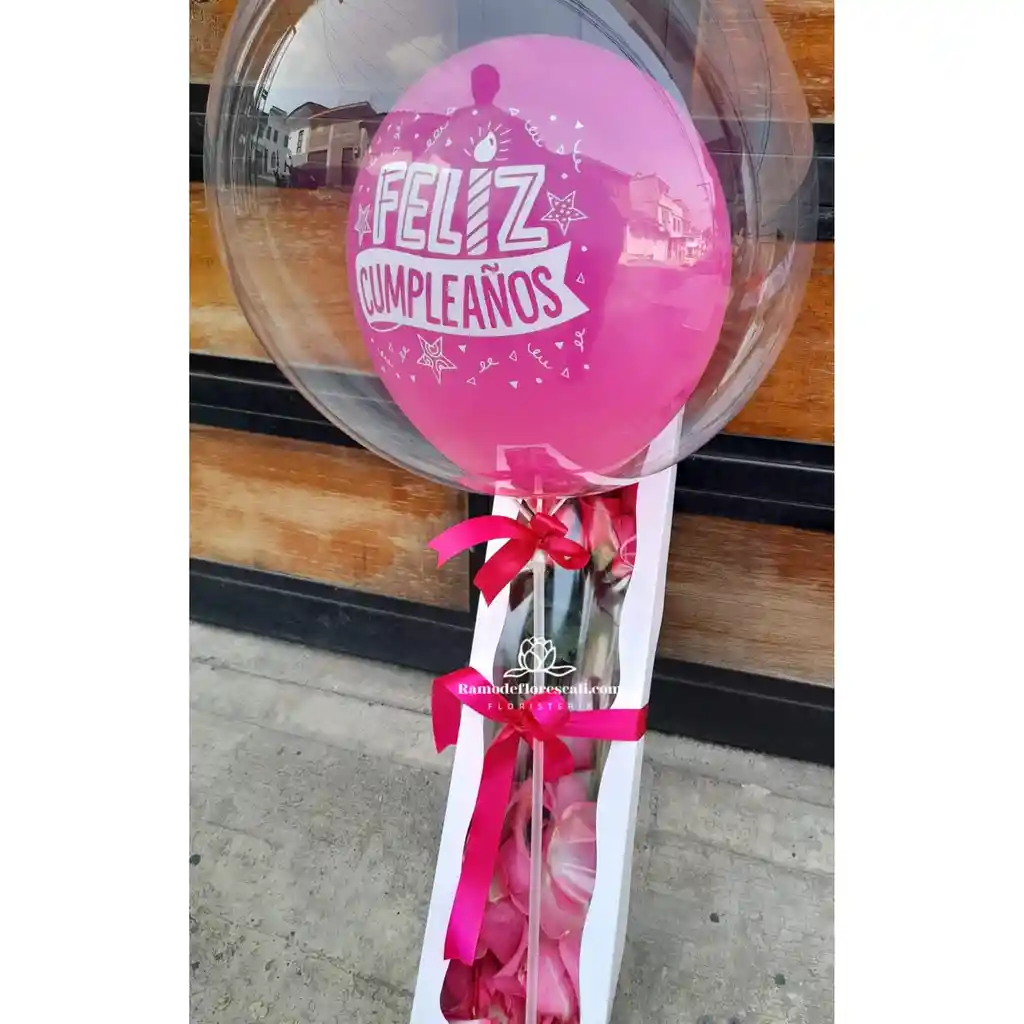 Caja De 12 Rosas Y Globo Burbuja